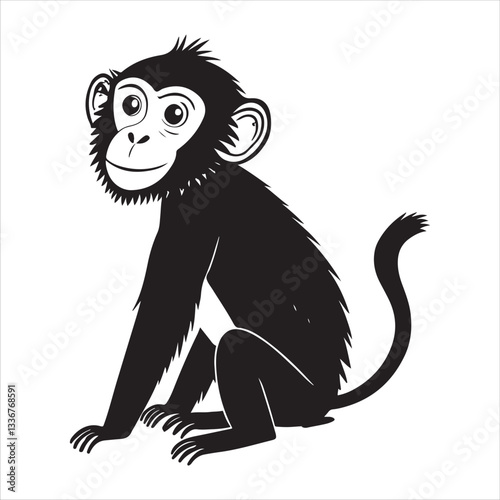 Photography monkey Vector