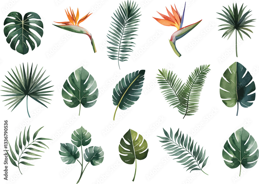 Fototapeta premium Watercolor Exotic tropical leaves Vector. Exotic plants, palm leaves, isolated on white background. Set of watercolor tropical leaves.