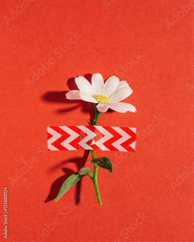 Minimal floral layout, cheerful spring herbarium.