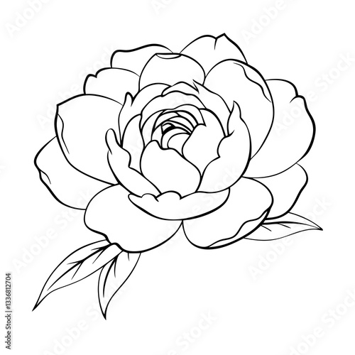 a detailed line art illustration of a blooming peony flower, with elegant petals and leaves 