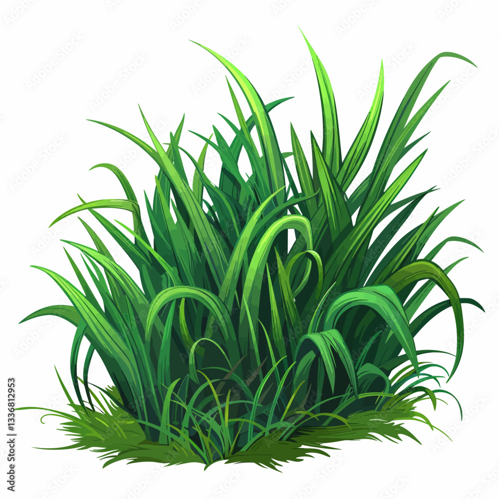 Obraz premium green grass isolated on white background