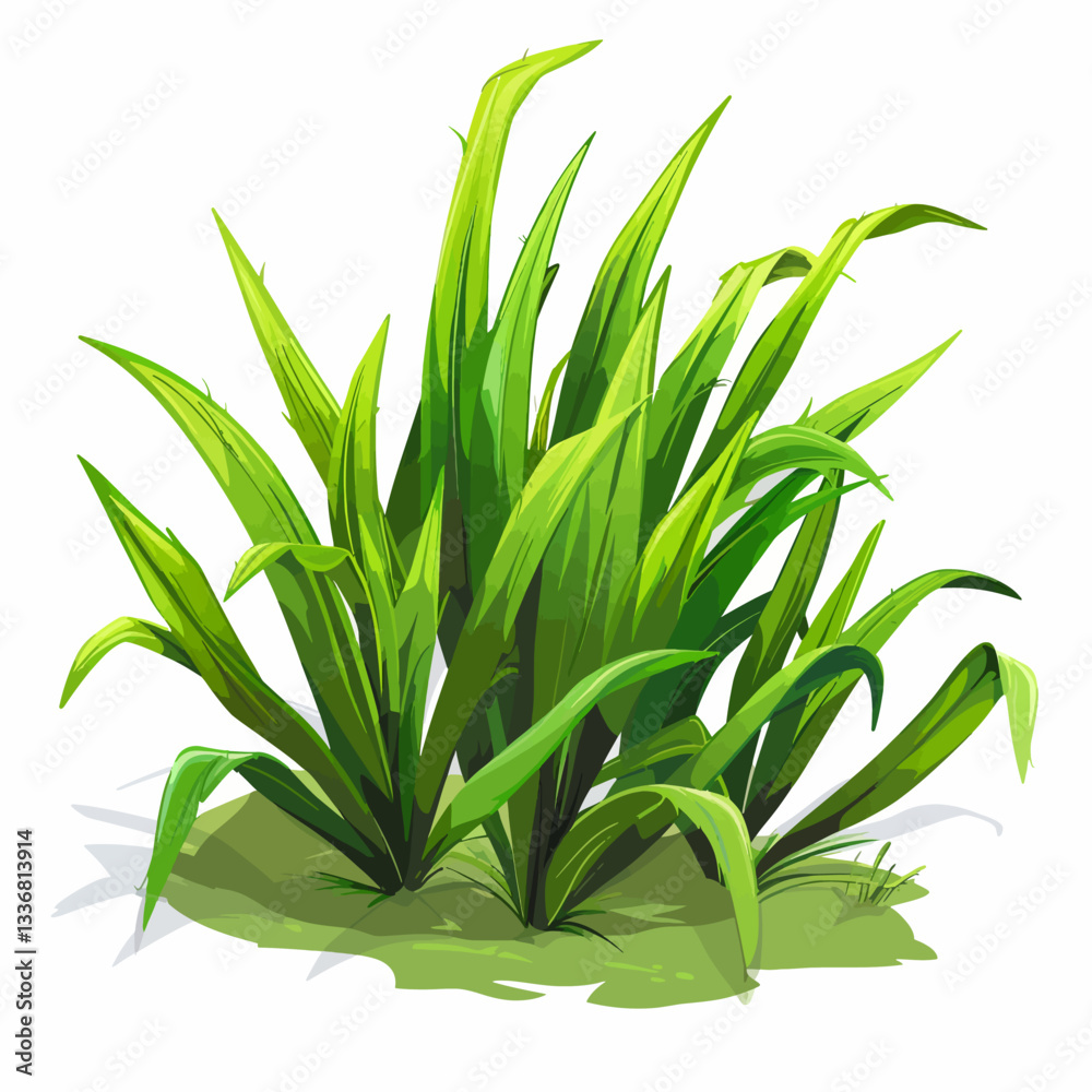 Obraz premium green grass isolated on white
