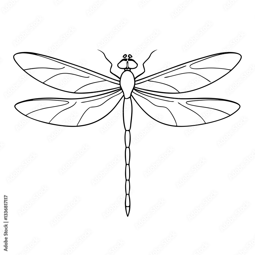 a simple line drawing of a dragonfly with its wings spread wide vector illustration a simple line drawing of a dragonfly with its wings spread wide vector illustration
