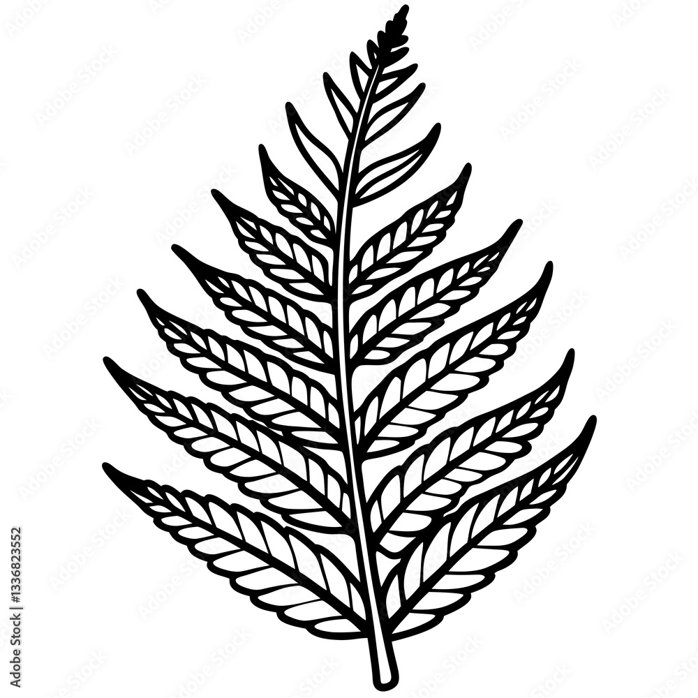 Precise Fern Leaf Contour Drawing in Linear Style Representing Botanical Detail with Copy Space