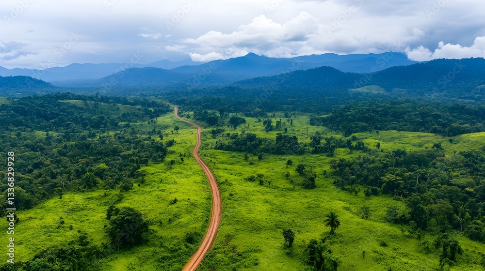 Fototapeta premium Aerial View of Lush Reforested Landscape with Vibrant Greenery and Scenic Mountain Backdrop