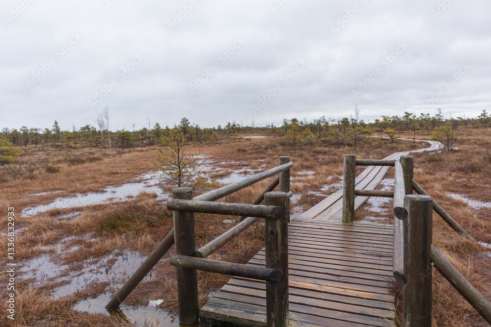 A wooden boardwalk with railings that winds through a marshy area with small areas covered in water.
A wooden boardwalk with railings that winds through a marshy area with small areas covered in water.