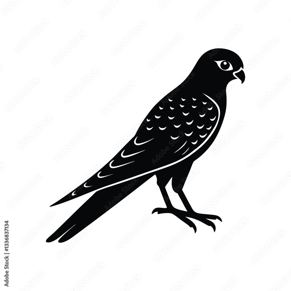 Fototapeta premium Kestrel silhouette vector illustration 