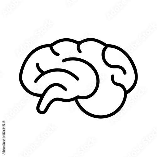 brain