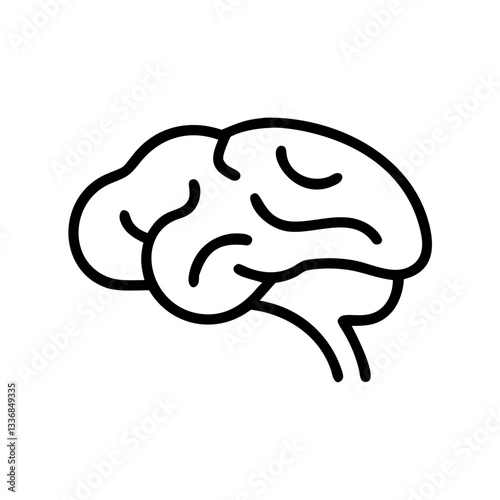 brain