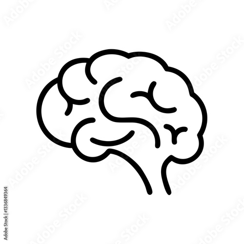 brain