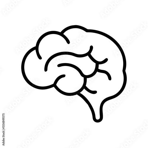 brain