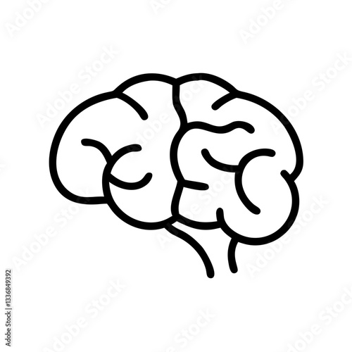 brain