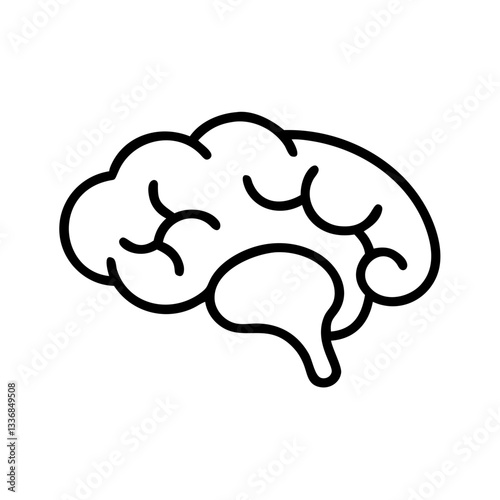 brain