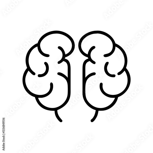 brain