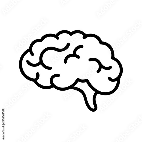 brain