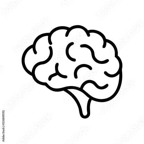 brain