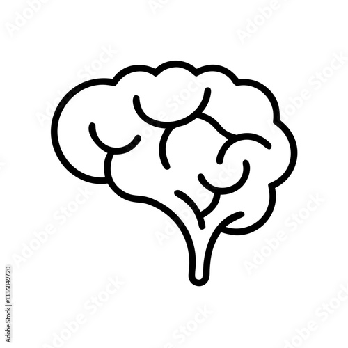 brain