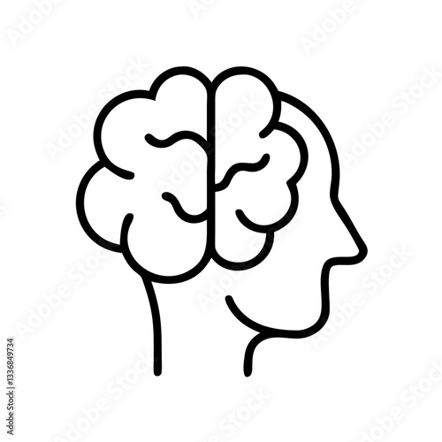 brain