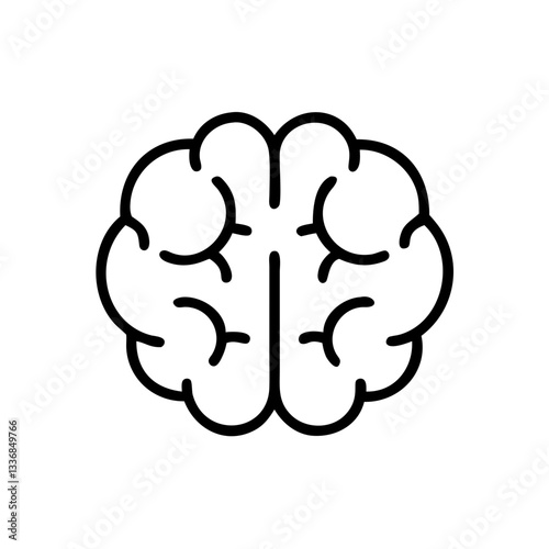 brain