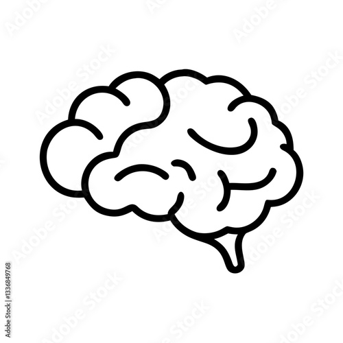 brain
