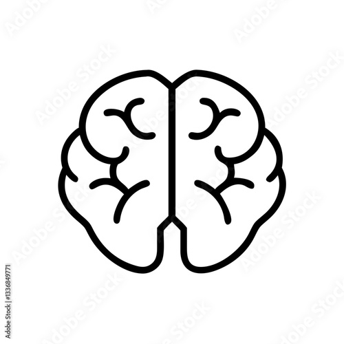 brain