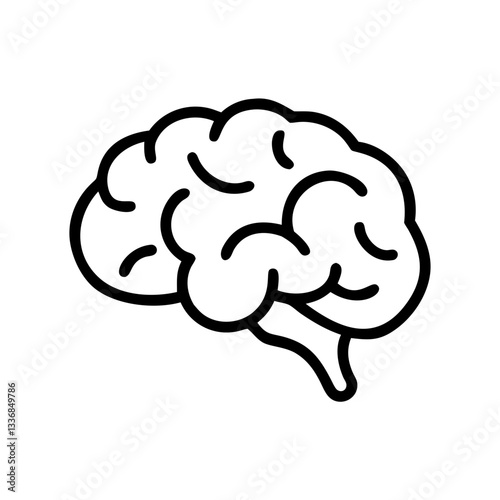 brain