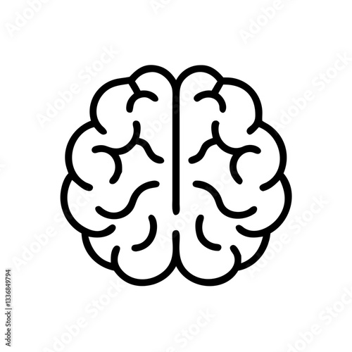 brain