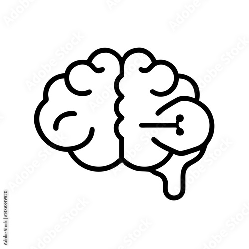brain