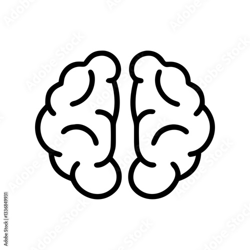 brain