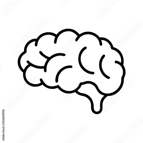 brain