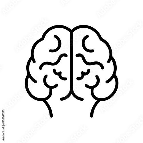 brain