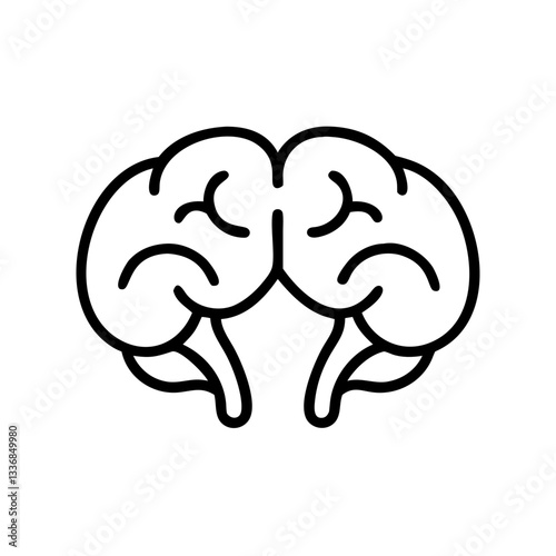brain