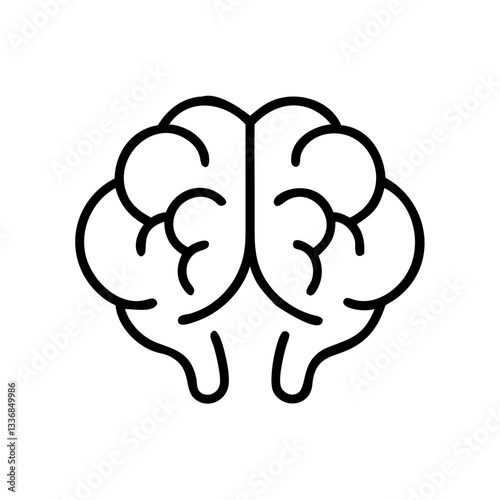 brain