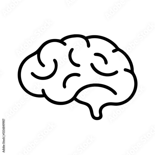 brain