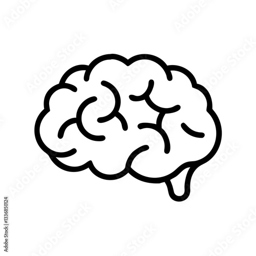 brain