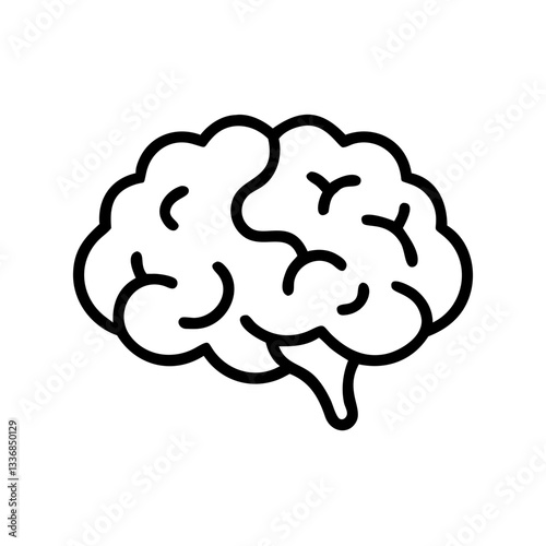 brain