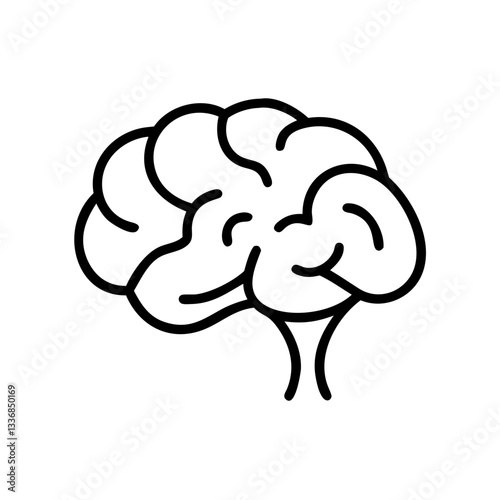 brain