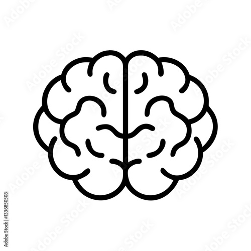 brain