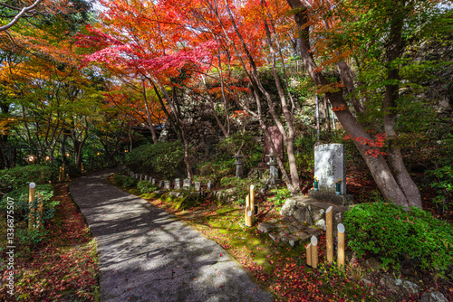 Wallpaper Mural Scenic sight in Murakumo Zuiryu Temple in Omihachiman during fall season. Kansai region, Shiga Prefecture, Japan. Torontodigital.ca