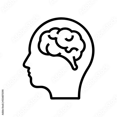brain