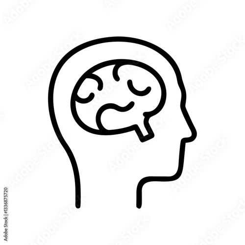 brain