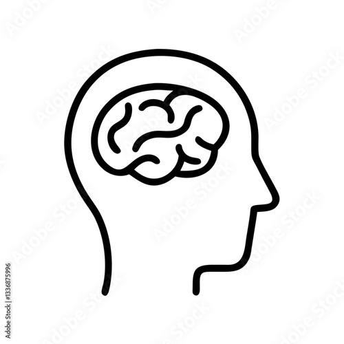 brain