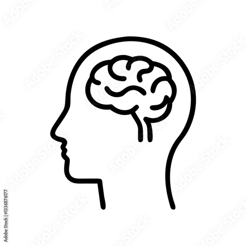 brain