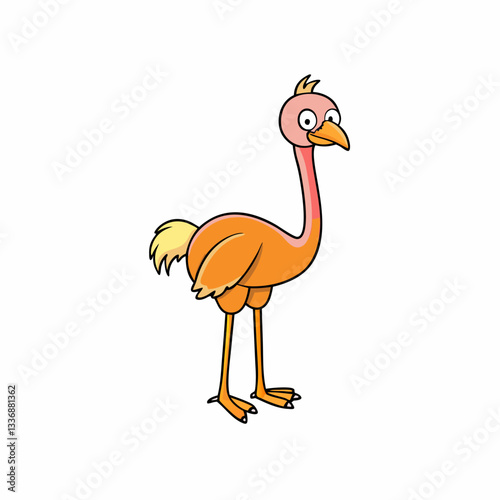 vector illustration of an ostrich