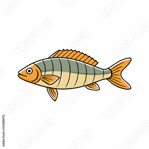 fish on a white background