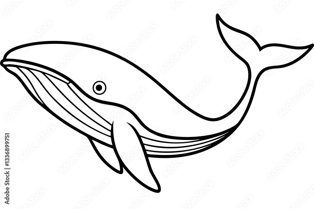 Abstract Whale Line Drawing Abstract Whale Line Drawing