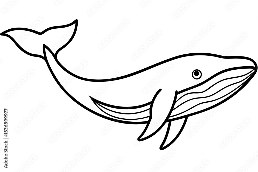 Abstract Whale Line Drawing Abstract Whale Line Drawing