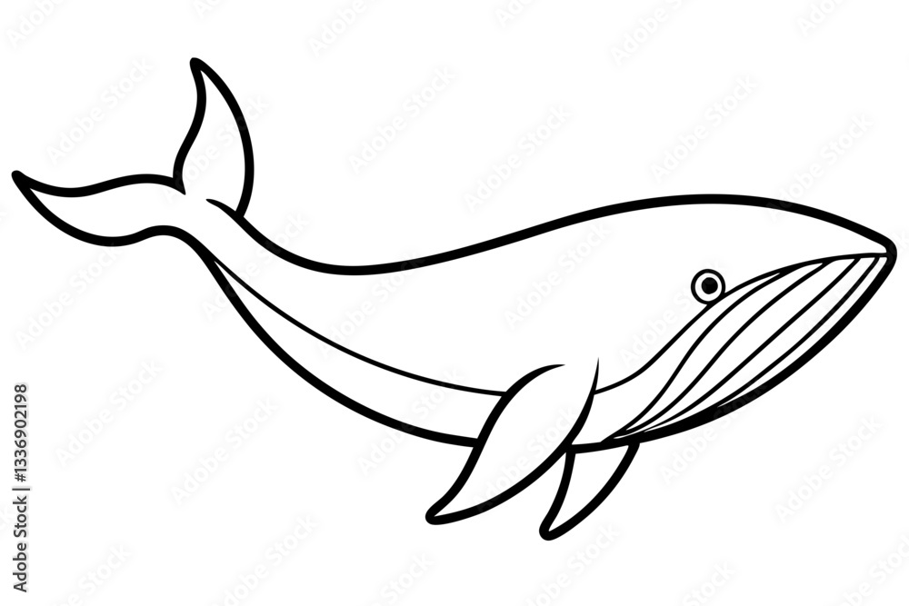 Abstract Whale Line Drawing Abstract Whale Line Drawing