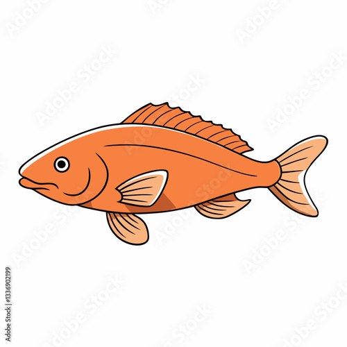 fish on a white background