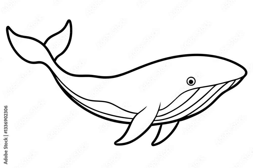 Abstract Whale Line Drawing Abstract Whale Line Drawing